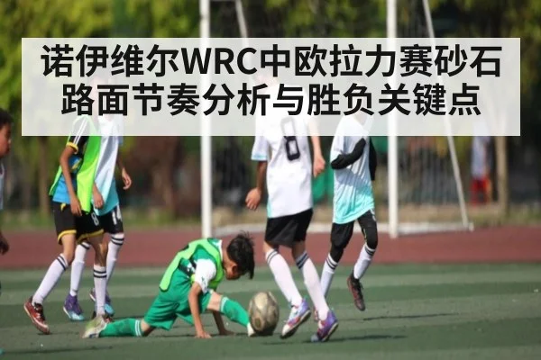 诺伊维尔WRC中欧拉力赛砂石路面节奏分析与胜负关键点